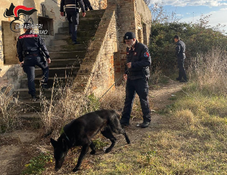 Porto Sant’Elpidio, controlli dei Carabinieri contro occupazioni abusive e immigrazione irregolare